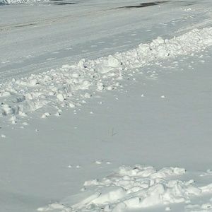 Meet your Posher, Edith